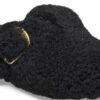 Boston Big Buckle Fur