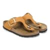 Gizeh Big Buckle Nubuk Leather
